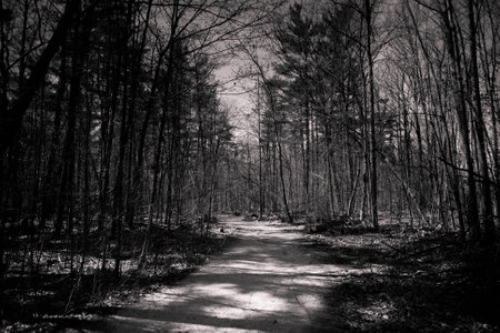 Walking in a trail