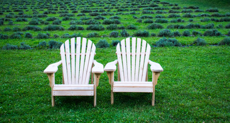 Two Adirondack chairs in the courtyard with farm viewの写真素材