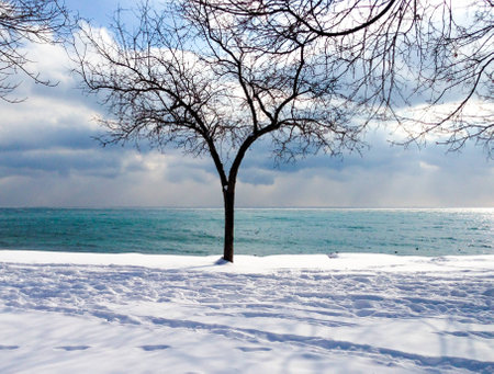 Lake view in lonely snowy winter landscapeの写真素材