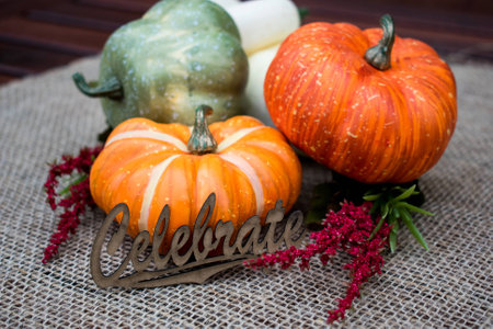 Assorted pumpkins on burlap background with wooden Celebrate tag. Thanksgiving and autumn decorationの写真素材