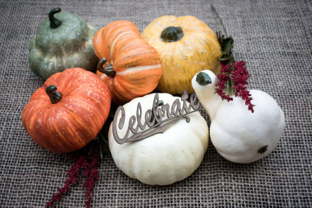 Assorted pumpkins on burlap background with wooden Celebrate tag. Thanksgiving and autumn decorationの写真素材