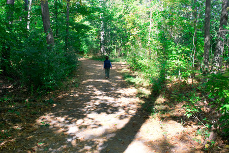 Boy walking in trail. Adventure vacationsの写真素材
