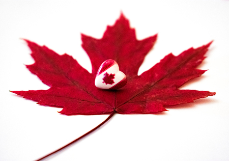 Canada day. Front view of Canada flag in shape of a heart over red maple leaf in white background.の写真素材