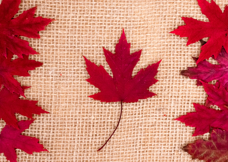 Canada Day. Red maple leaves in shape of Canadian Flag on burlap backgroundの写真素材