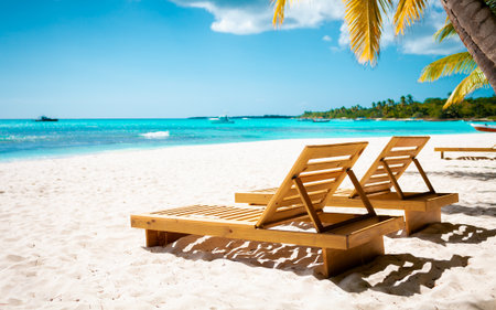 Vacation summer holidays background wallpaper - sunny tropical Caribbean paradise beach with white sand in Seychelles Praslin island with palmsの写真素材