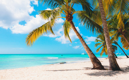 Vacation summer holidays background wallpaper - sunny tropical exotic paradise beach with white sand...
