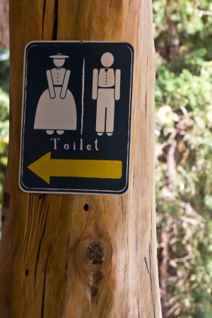 Toiletの写真素材