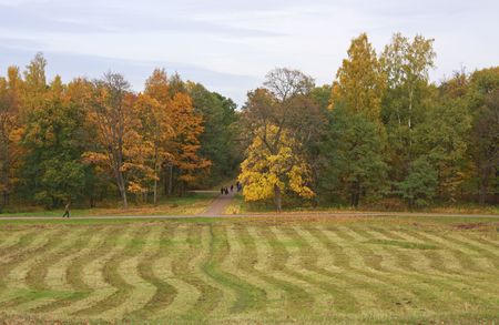 Golden autumn in Alexandria park, Peterhof, St. Petersburg, Russiaの写真素材