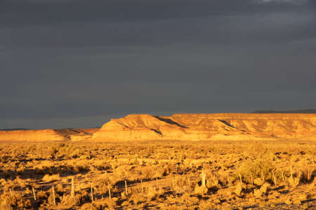 Golden hourの写真素材