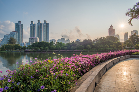 Bangkok, Thailand skyline from Benjakiti Park in the morning.のeditorial素材