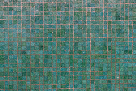 Green mosaics tile wallの写真素材