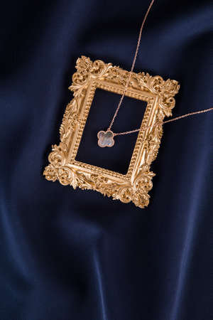 Fashionable and exquisite ladies necklaceの写真素材