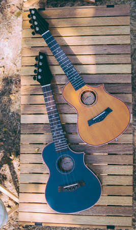 Colored cute ukulele