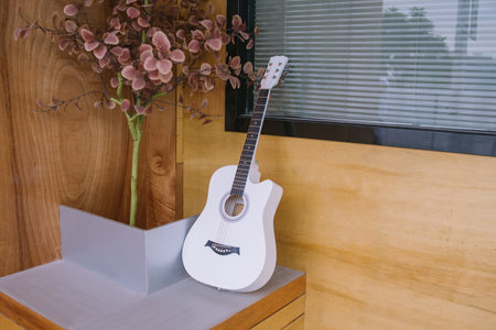 Folk in the Sun Acoustic Acoustic Guitar 41 Inchesの写真素材