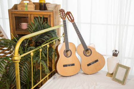 Folk in the Sun Acoustic Acoustic Guitar 41 Inchesの写真素材