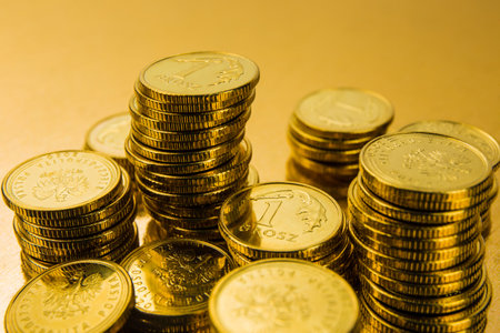 Gold Coins in the Economic and Financial World