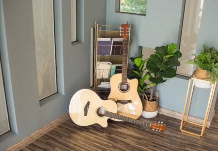 classical guitar