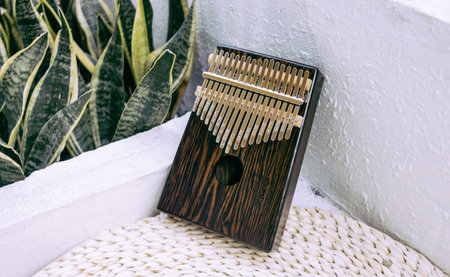 famous musical instrument kalimbaの写真素材