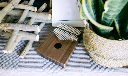 famous musical instrument kalimbaの写真素材