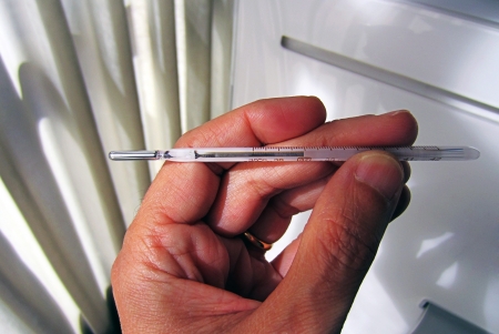 Temperature reading on a medical thermometer 