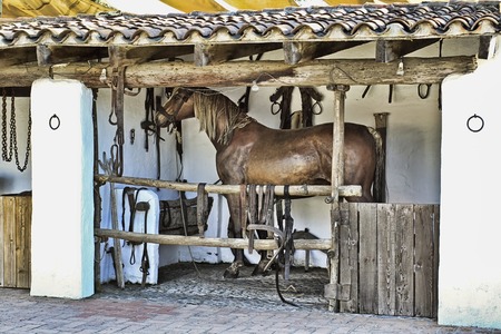 In an old horse stable spanishの写真素材
