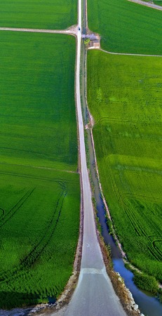 Rice fields in Albufera of Valencia, Spain (Flat Land Effect)の写真素材