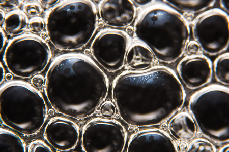 Bubblesの写真素材