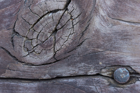 Wood Grain Pattern Backgroundの写真素材