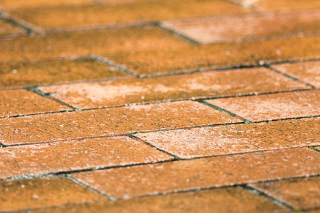 A Brick Sidewalkの写真素材