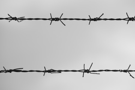 monochrome: Barbed wire fenceの写真素材