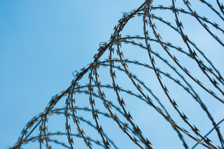 Barbed wire fence with blue sky backgroundの写真素材