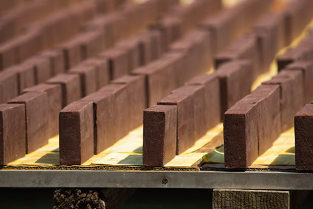 Drying shrimp paste in a sunny dayの写真素材