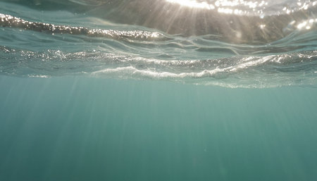 Underwater view of the sea surface with sunbeams and wavesの素材