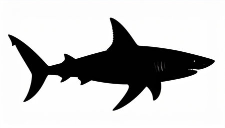 Shark silhouette isolated on white background. Black and white vector illustration.の素材