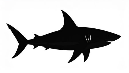 Shark silhouette isolated on white background. Black and white illustration.の素材