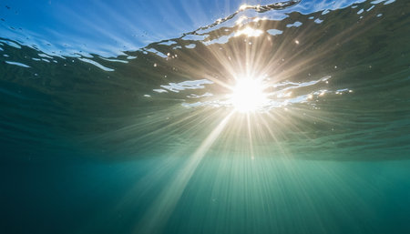 Underwater view of the sun shining through the water surface with raysの素材