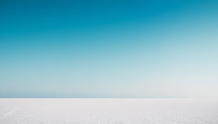 Salt Lake in the winter. Beautiful winter landscape with blue sky.の素材