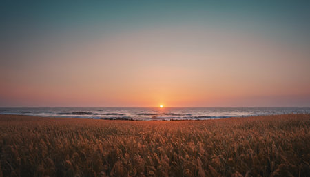 Sunset over the sea. Sunset over the sea. Beautiful summer landscape.の素材