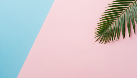 Tropical palm leaf on pink and blue background. Minimal summer conceptの素材