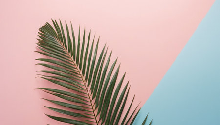 Tropical palm leaf on pastel pink and blue background. Minimal summer conceptの素材