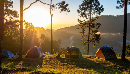 Camping on the mountain in the morning at Doi Inthanon National Park, Chiang Mai, Thailandの素材