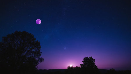 Night sky with stars and moon. Silhouettes of trees on the background.の素材