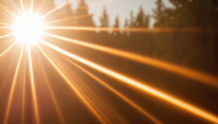 Sunset in the forest with lens flare effect. Abstract background.の素材