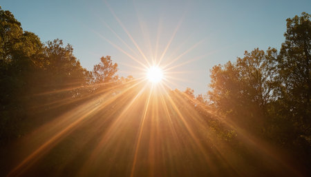 Sunset in the forest with sunbeams and lens flare.の素材