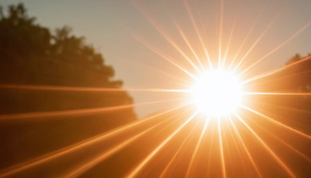 Sunset background with lens flare. Sunlight over the road.の素材