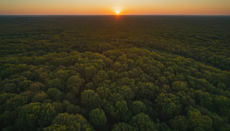 Beautiful aerial view of the sunset over the forest in summer.の素材