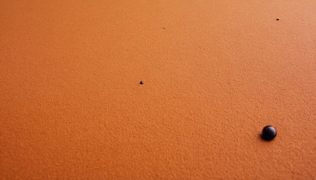 A closeup shot of a black stone on a sand duneの素材