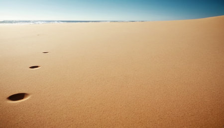 Footprints in the sand on a sunny day. Natural background.の素材