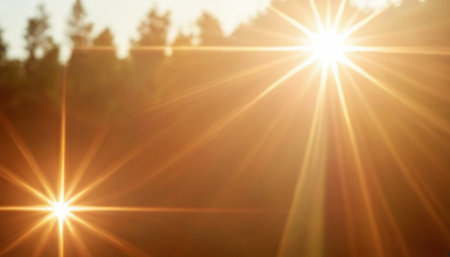 sunset over the forest in summer, lens flare effect, bokehの素材