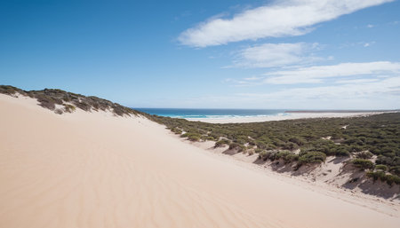 Panoramic view of the sand dunes of Vila Nova de Milfontes, Portugalの素材